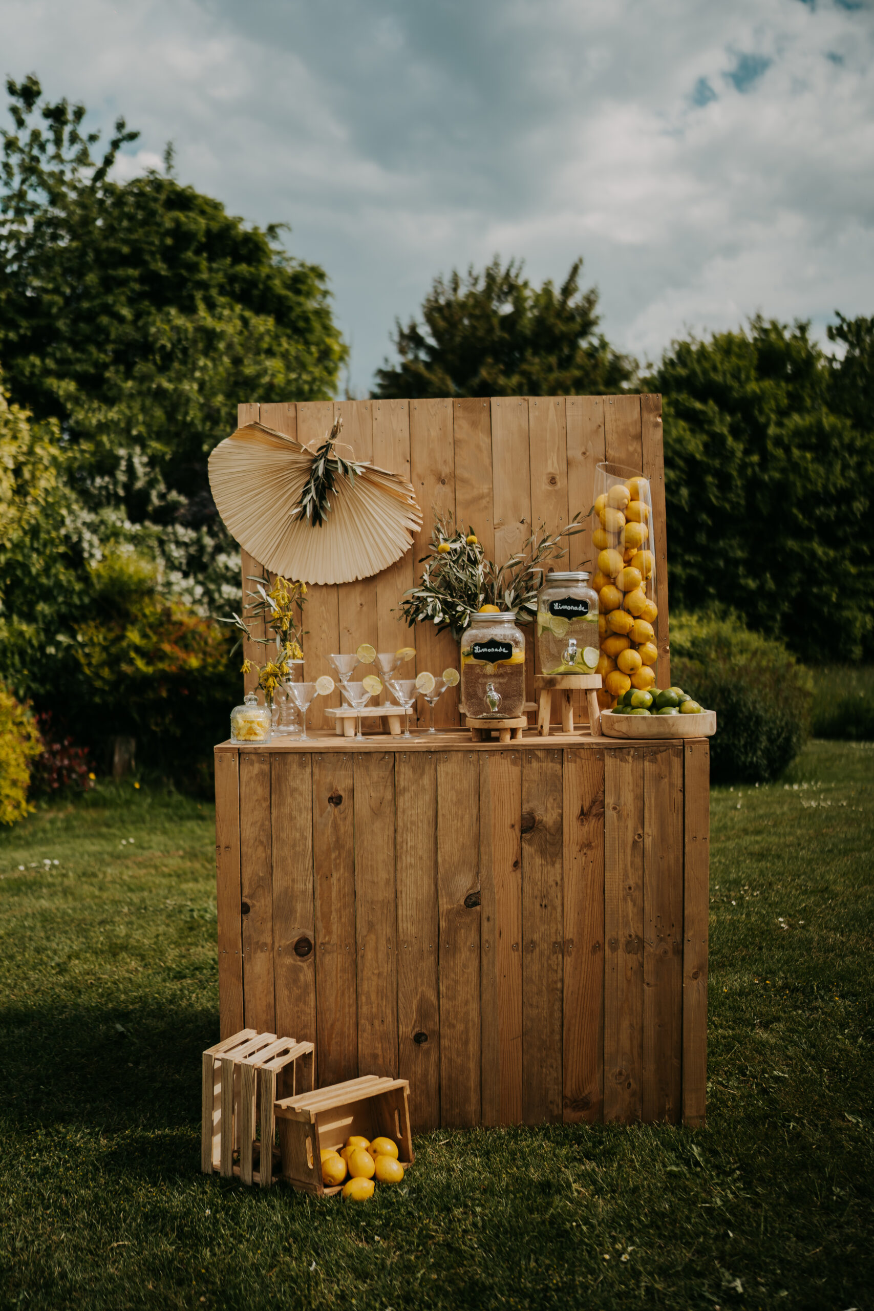 bar a jus en location Tiana Events bar a jus en location Tiana Events