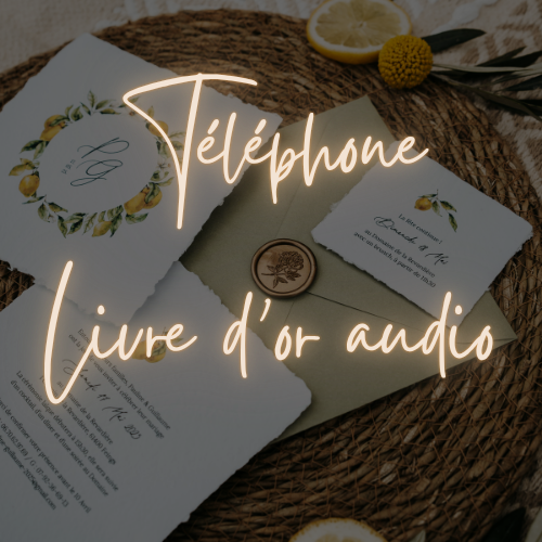 Téléphone livre d'or audio