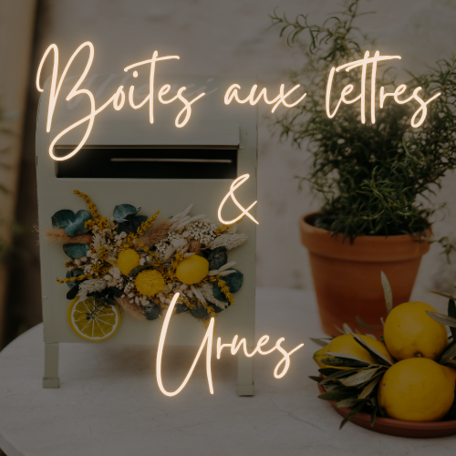 boites aux lettres et urnes en location