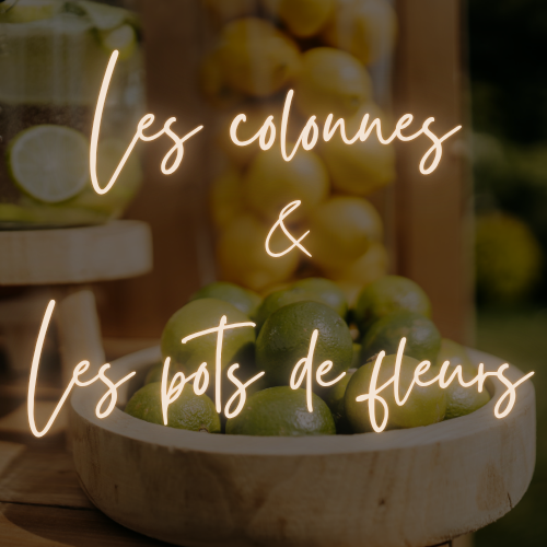 les colonnes et pots de fleurs