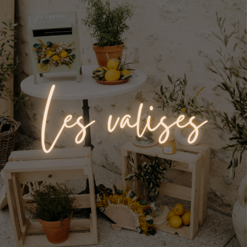 les valises