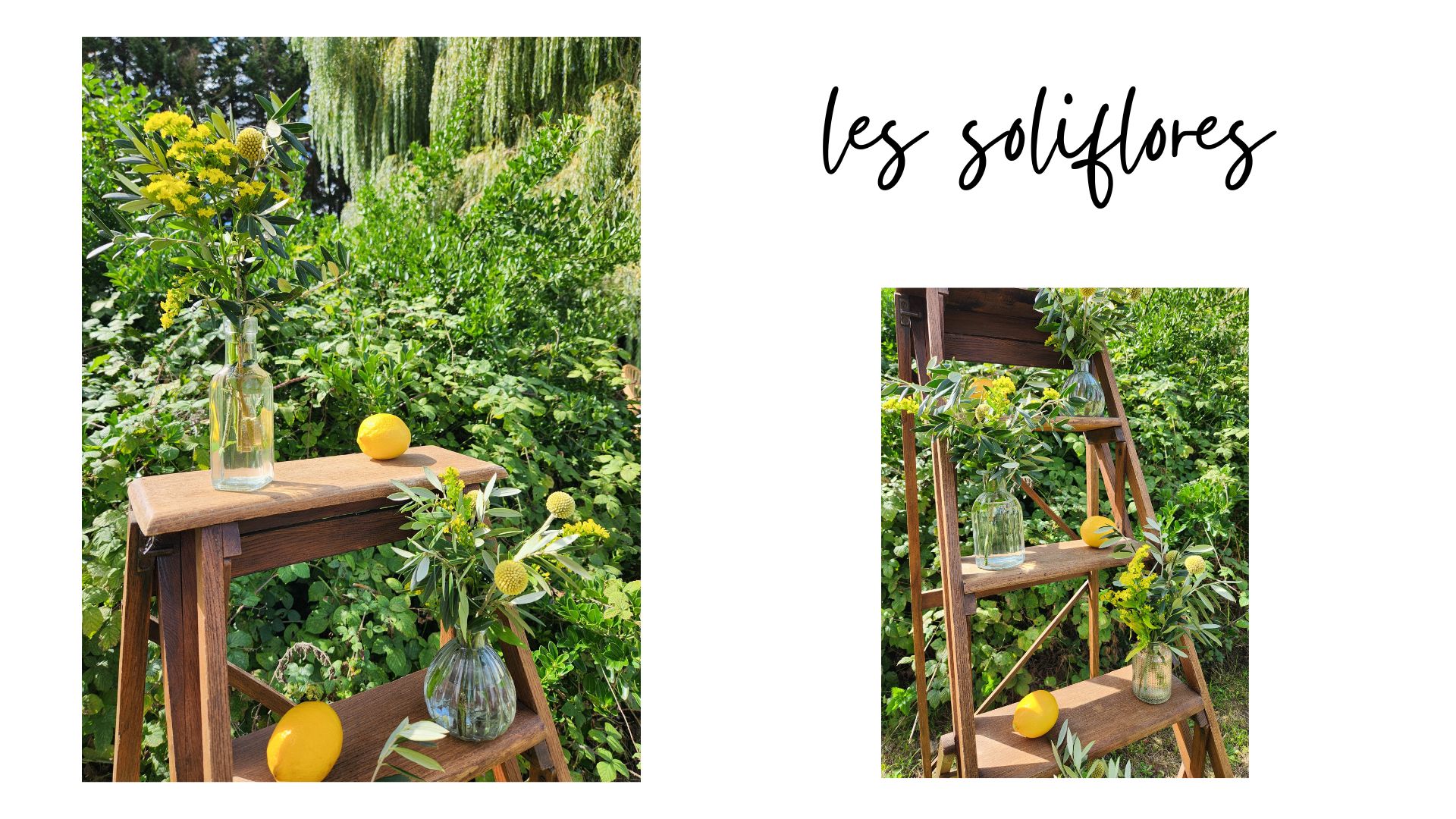 Les soliflores en location chez Tiana Events