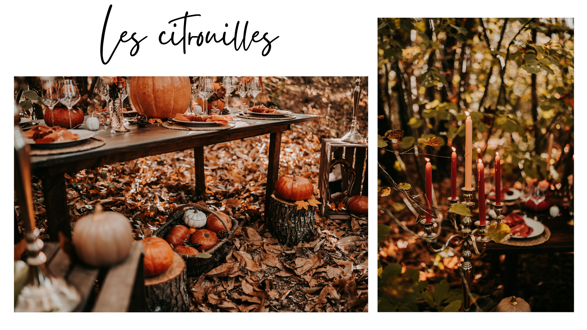 décoration table citrouilles